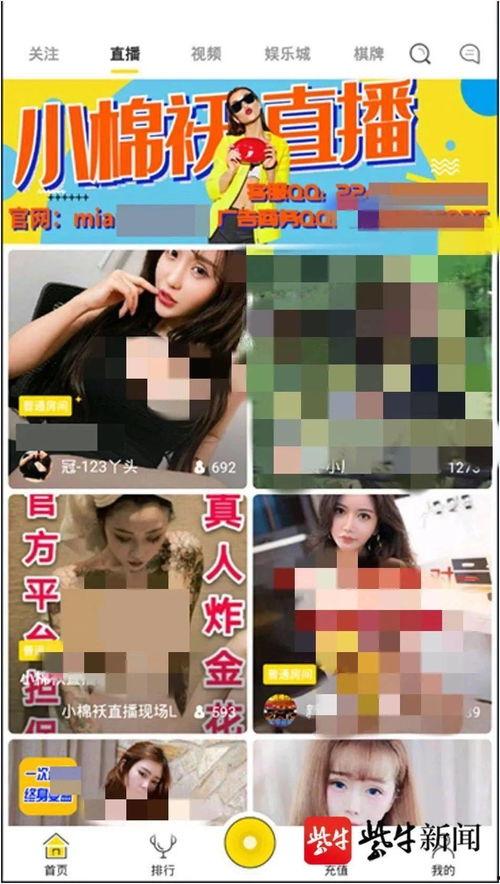 虎妞直播成人app,探索成人APP的娱乐新境界